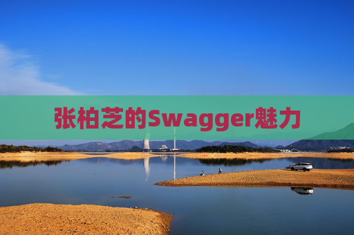 张柏芝的Swagger魅力